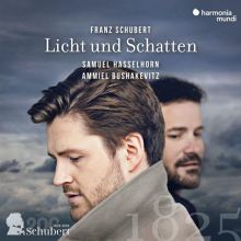 Franz Schubert: Licht und Schatten